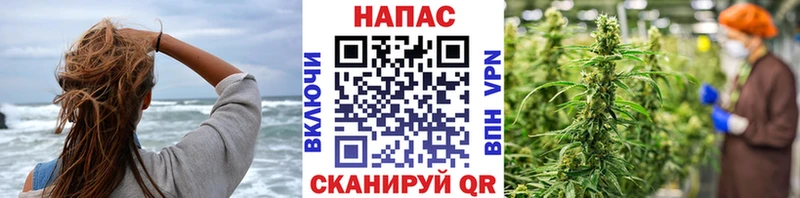 купить наркоту  Удачный  Канабис план 